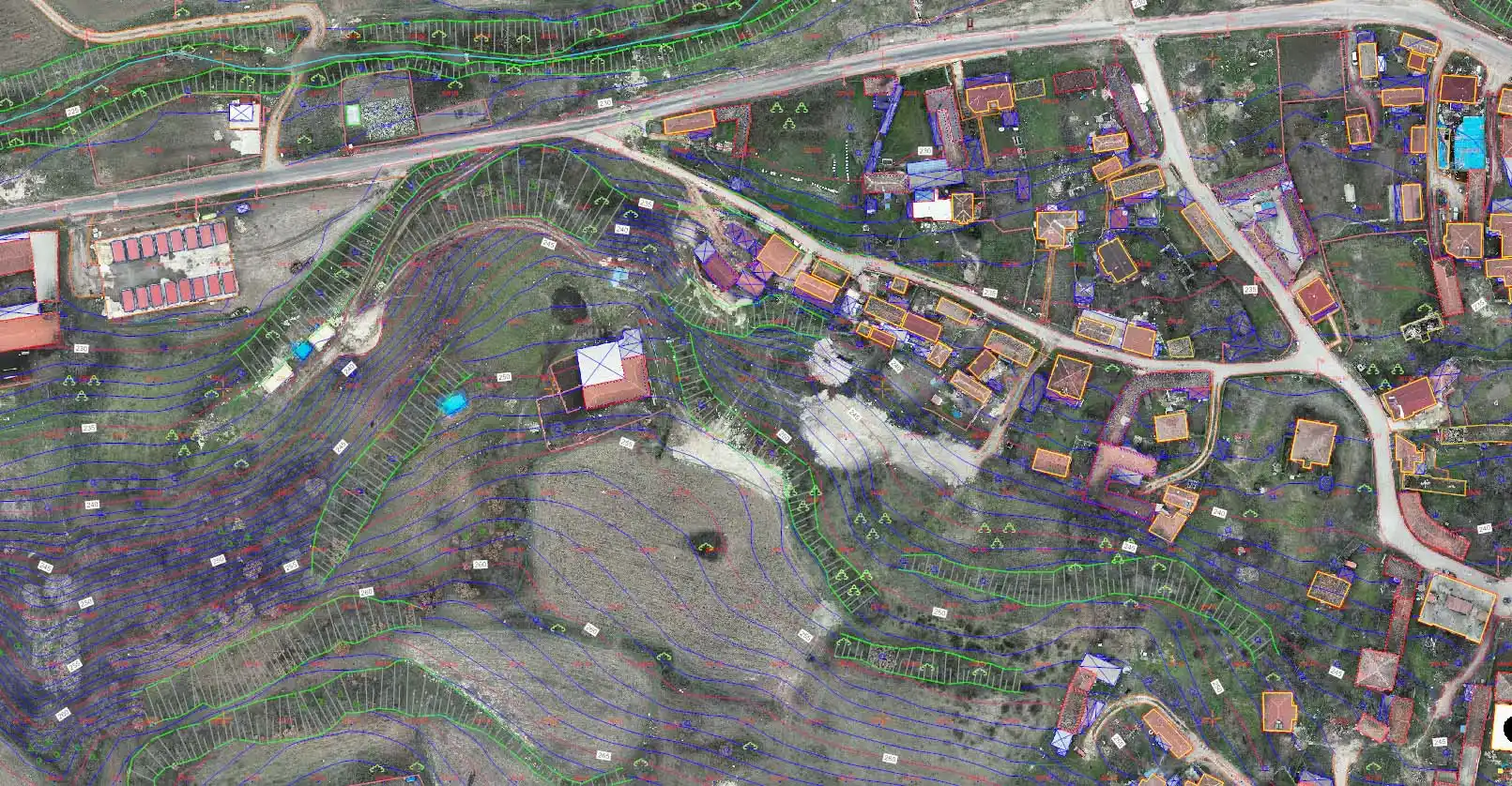 Normal Image